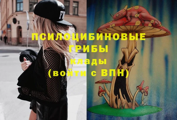 амф Арсеньев