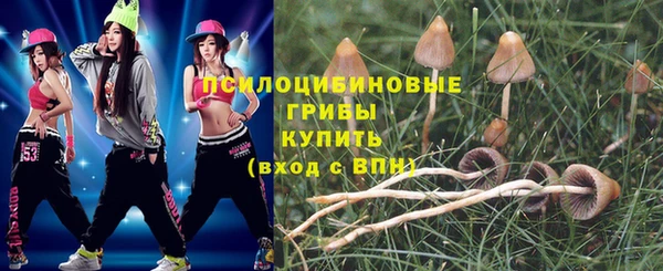 соль ск Аркадак