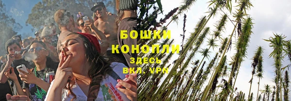 амф Арсеньев