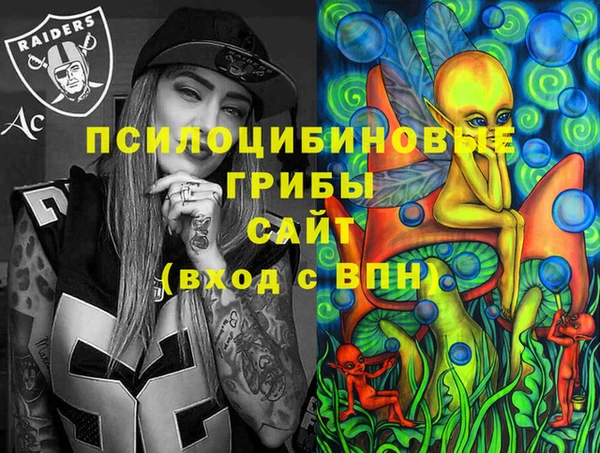 соль ск Аркадак