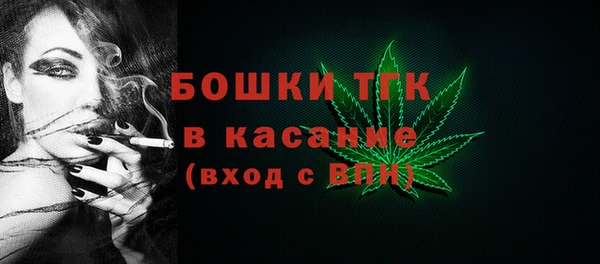 амф Арсеньев